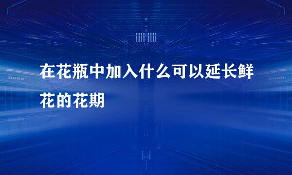 在花瓶中加入什么可以延长鲜花的花期