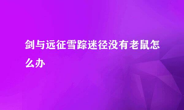 剑与远征雪踪迷径没有老鼠怎么办