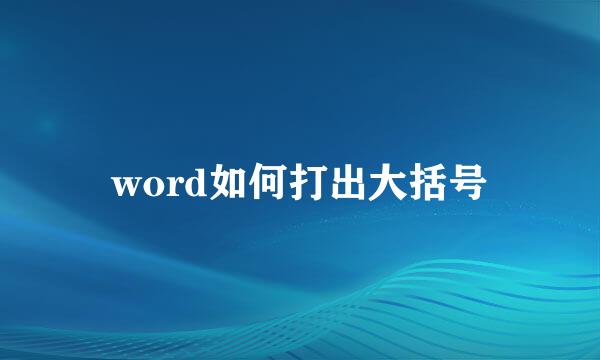 word如何打出大括号