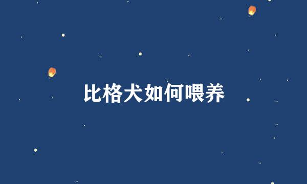 比格犬如何喂养