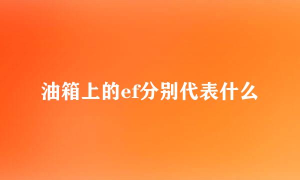 油箱上的ef分别代表什么