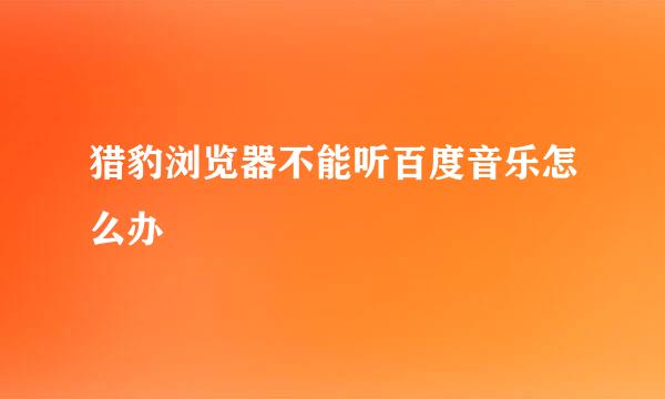 猎豹浏览器不能听百度音乐怎么办