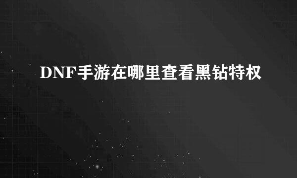 DNF手游在哪里查看黑钻特权