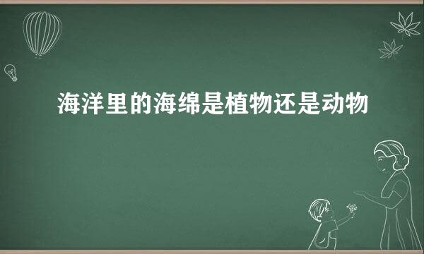 海洋里的海绵是植物还是动物