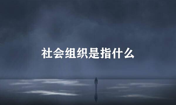 社会组织是指什么