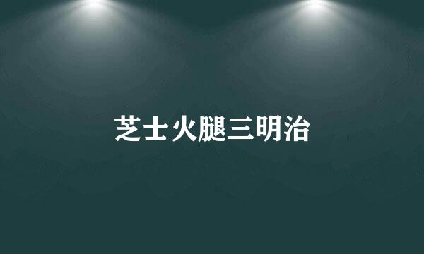 芝士火腿三明治