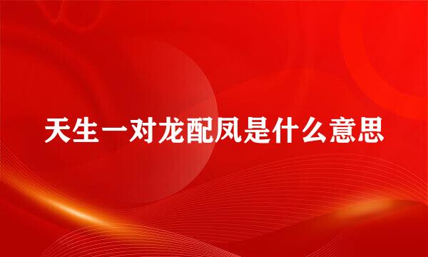 天生一对龙配凤是什么意思