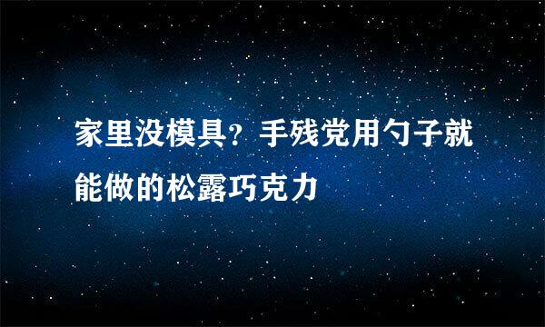 家里没模具?手残党用勺子就能做的松露巧克力