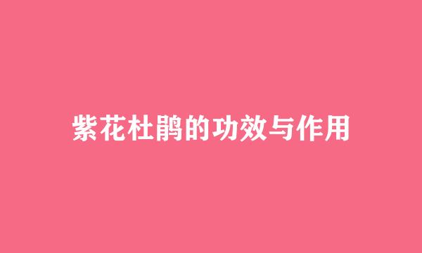 紫花杜鹃的功效与作用