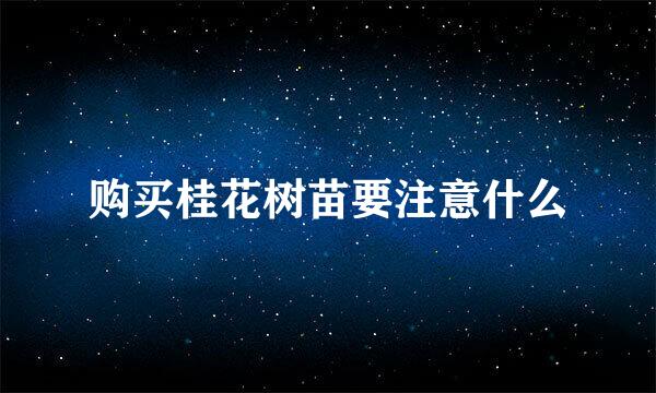 购买桂花树苗要注意什么