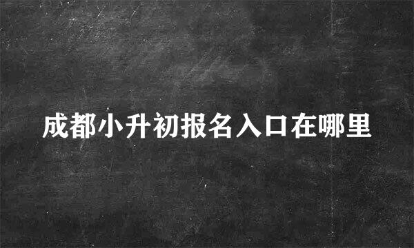 成都小升初报名入口在哪里