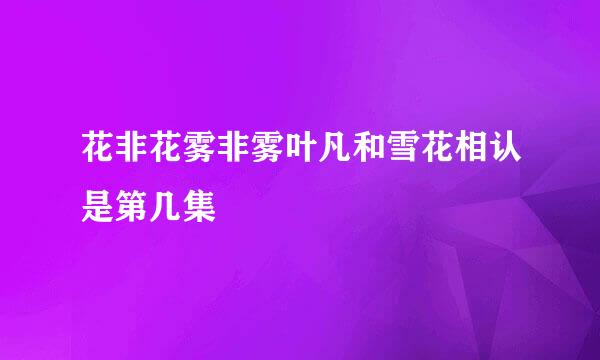 花非花雾非雾叶凡和雪花相认是第几集