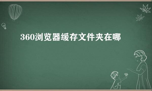 360浏览器缓存文件夹在哪