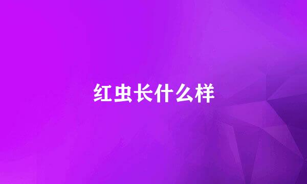 红虫长什么样