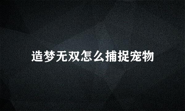 造梦无双怎么捕捉宠物