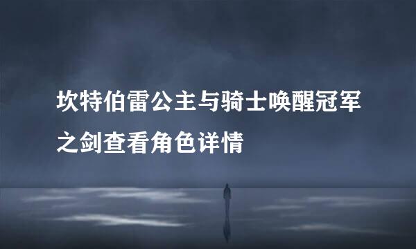 坎特伯雷公主与骑士唤醒冠军之剑查看角色详情