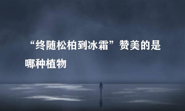 “终随松柏到冰霜”赞美的是哪种植物