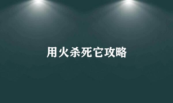 用火杀死它攻略