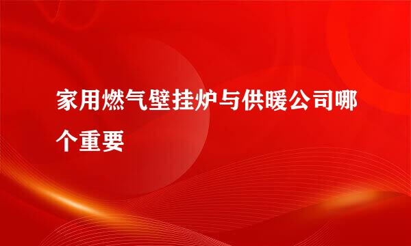 家用燃气壁挂炉与供暖公司哪个重要