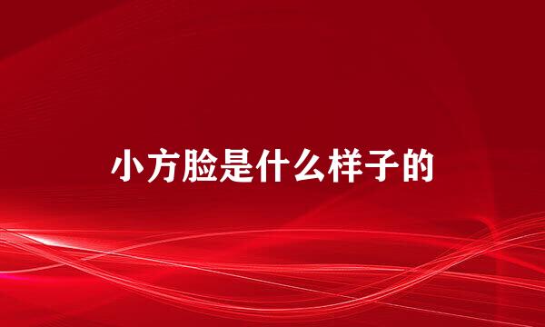 小方脸是什么样子的