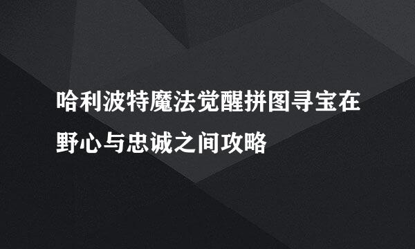 哈利波特魔法觉醒拼图寻宝在野心与忠诚之间攻略