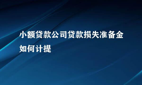 小额贷款公司贷款损失准备金如何计提