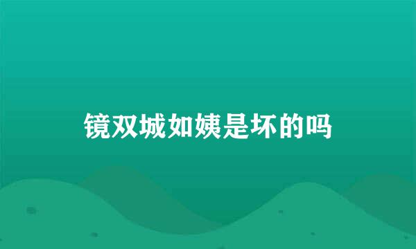镜双城如姨是坏的吗