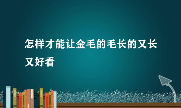 怎样才能让金毛的毛长的又长又好看