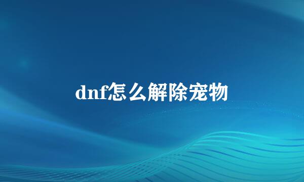 dnf怎么解除宠物