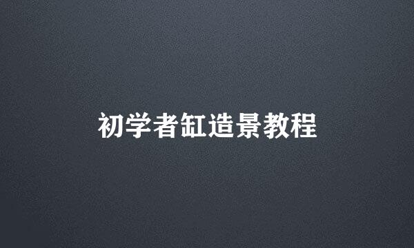 初学者缸造景教程