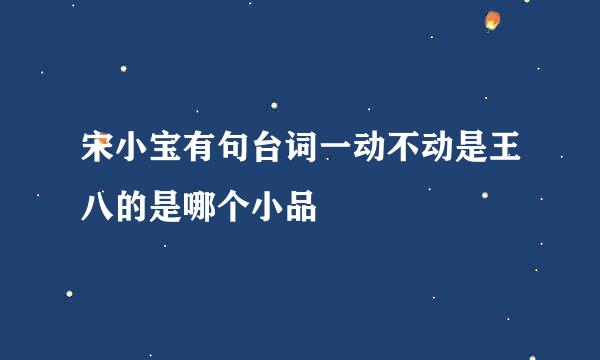 宋小宝有句台词一动不动是王八的是哪个小品