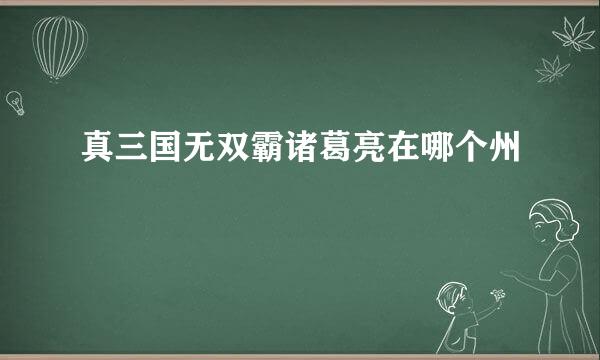真三国无双霸诸葛亮在哪个州