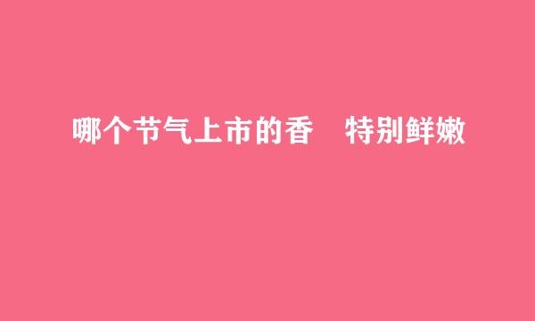 哪个节气上市的香樁特别鲜嫩