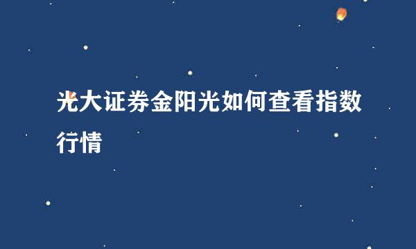 光大证券金阳光如何查看指数行情