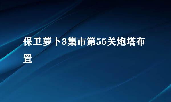 保卫萝卜3集市第55关炮塔布置
