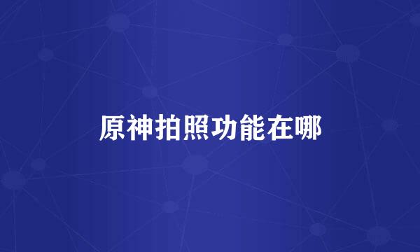 原神拍照功能在哪