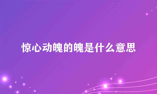 惊心动魄的魄是什么意思