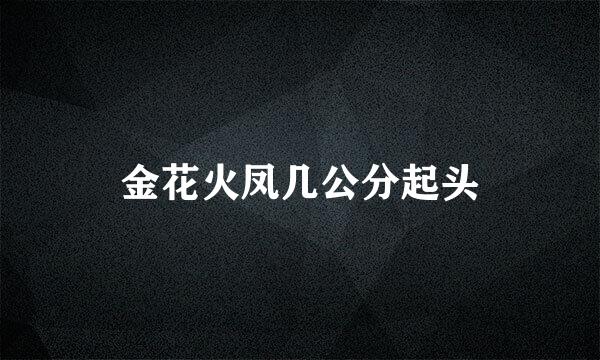 金花火凤几公分起头