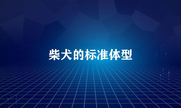 柴犬的标准体型