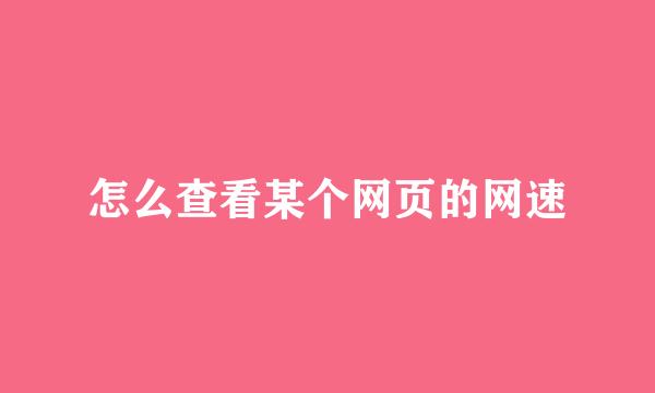 怎么查看某个网页的网速