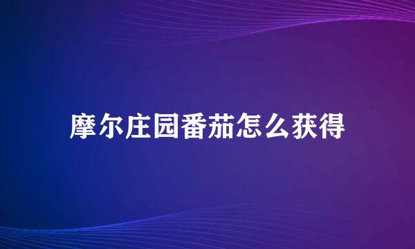 摩尔庄园番茄怎么获得