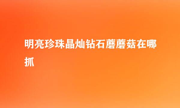 明亮珍珠晶灿钻石蘑蘑菇在哪抓