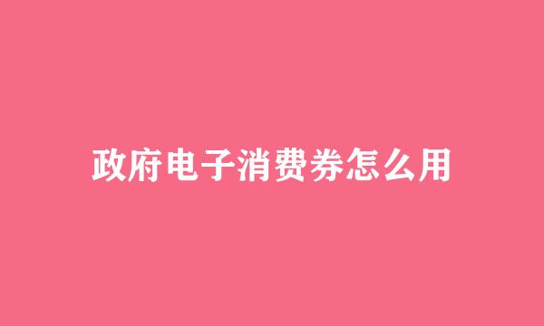 政府电子消费券怎么用