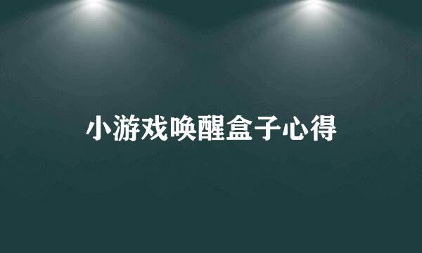 小游戏唤醒盒子心得