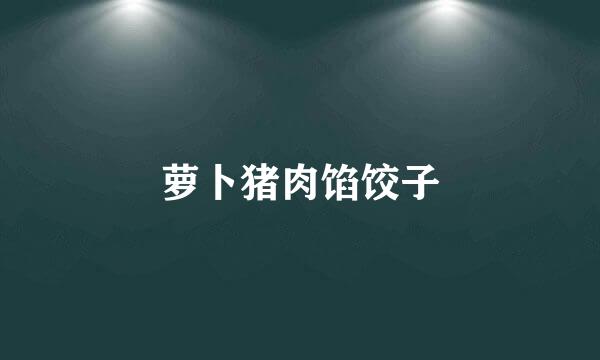 萝卜猪肉馅饺子