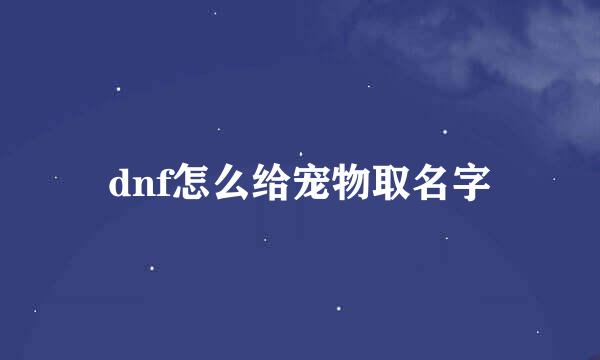 dnf怎么给宠物取名字