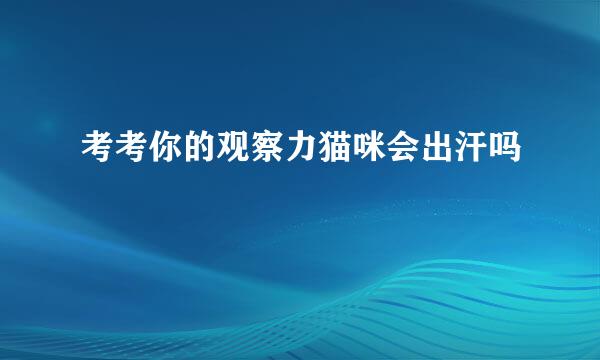 考考你的观察力猫咪会出汗吗