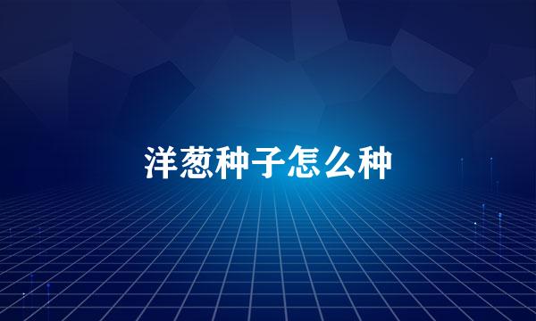 洋葱种子怎么种