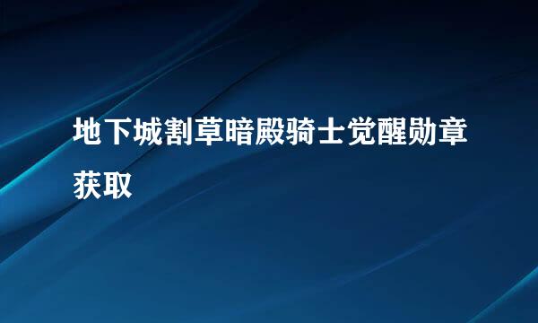 地下城割草暗殿骑士觉醒勋章获取