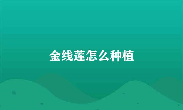 金线莲怎么种植